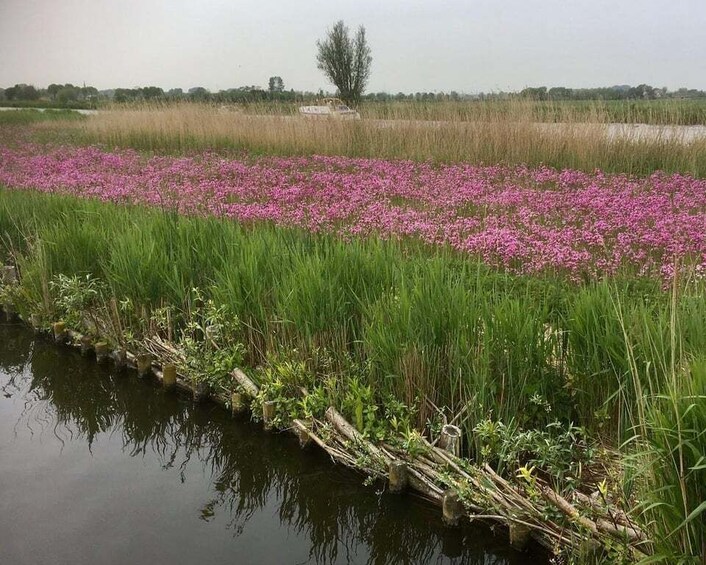 Picture 6 for Activity Schipluiden: Private Boat Tour to Rotterdam