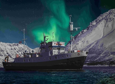 From Tromsø: Northern Lights Cruise on a Cosy Vintage Vessel