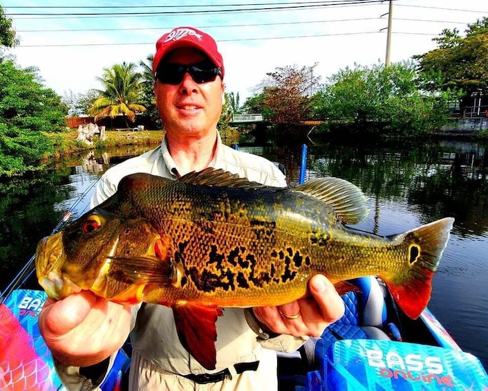 Picture 4 for Activity Peacock Bass Fishing Trips Near Miami Florida