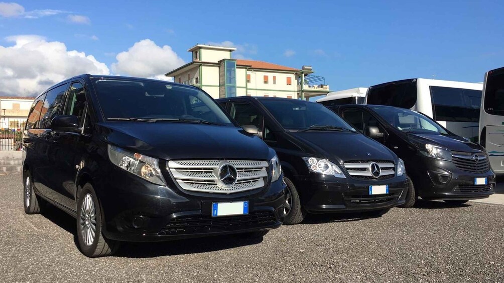 Picture 4 for Activity Taxi Shuttle from Pisa/Florence Airport to Florence Downtown