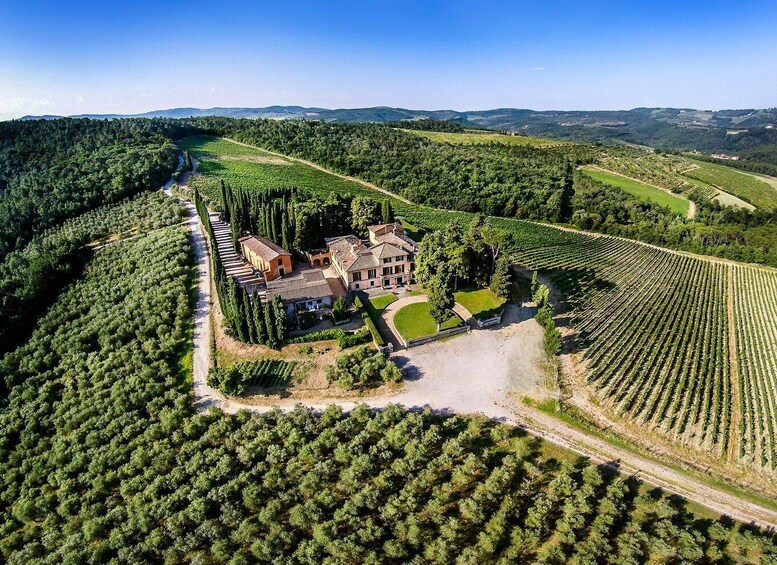 Picture 4 for Activity ANTINORI, CHIANTI WINE REGION & SAN GIMIGNANO WINE TOUR