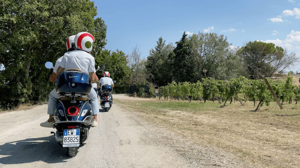 Picture 2 for Activity Marche: Guided Vespa Tour - The Charming Castles of Arcevia