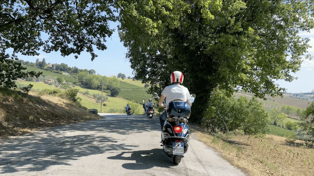 Picture 4 for Activity Marche: Guided Vespa Tour - The Charming Castles of Arcevia