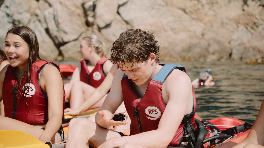 Picture 7 for Activity Tossa de Mar: Guided Kayaking Tour & Snorkelling