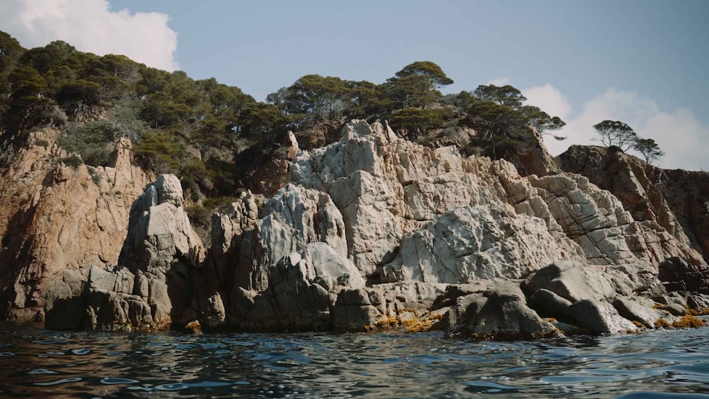 Picture 4 for Activity Tossa de Mar: Guided Kayaking Tour & Snorkelling