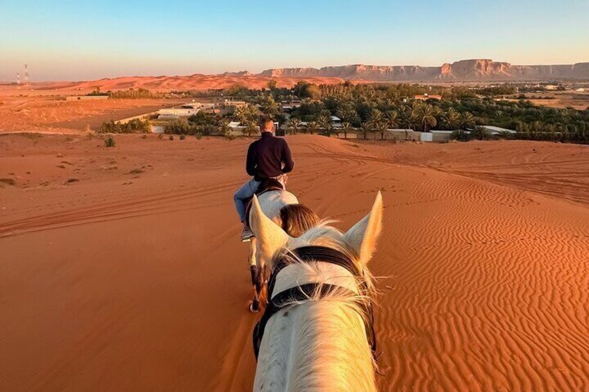 Horse Riding Experience in Riyadh | Tanomah | Jeddah | Al Ula