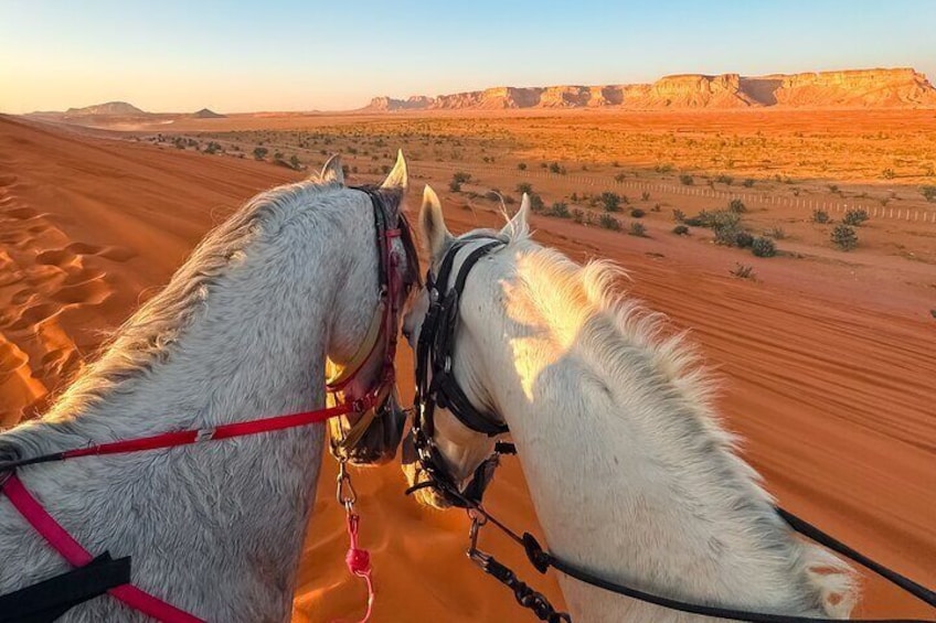 Horse Riding Experience in Riyadh | Tanomah | Jeddah | Al Ula