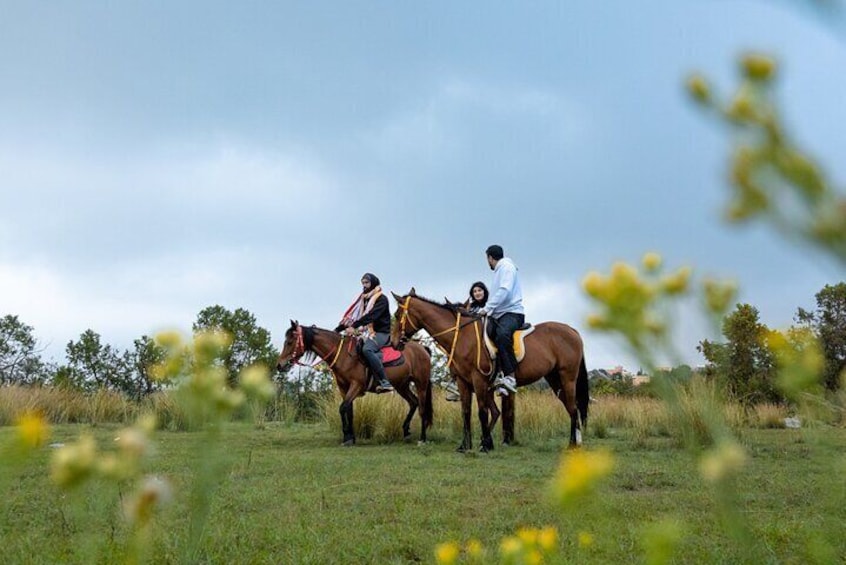 Horse Riding Experience in Tanomah