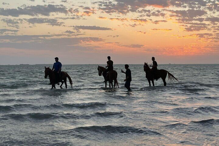 Hooves in the surf, breeze in your hair. 