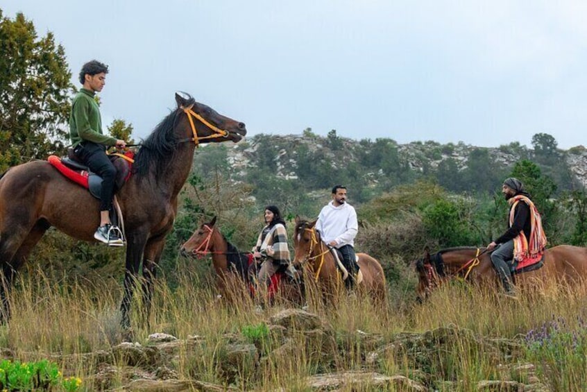 Horse Riding Experience in Tanomah