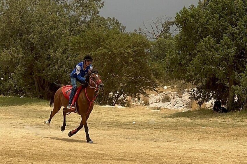 Horse Riding Experience in Riyadh | Tanomah | Jeddah | Al Ula