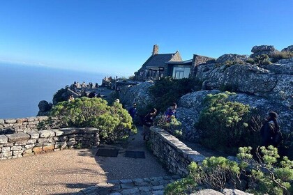 Table Mountain, Two Ocean Aquarium and Robben Island Private Tour