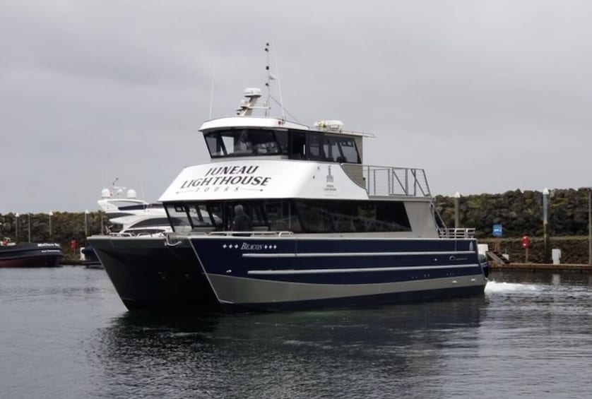 Exclusive Whale Watching Cruise & Tour with Mendenhall Glacier View