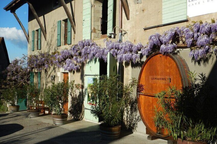 Vineyard Entrance