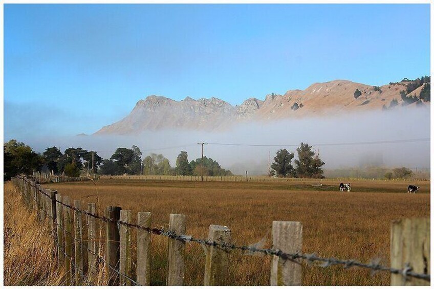 The Valley Road you will be taking, looking up to Te Mata Peak in the distance