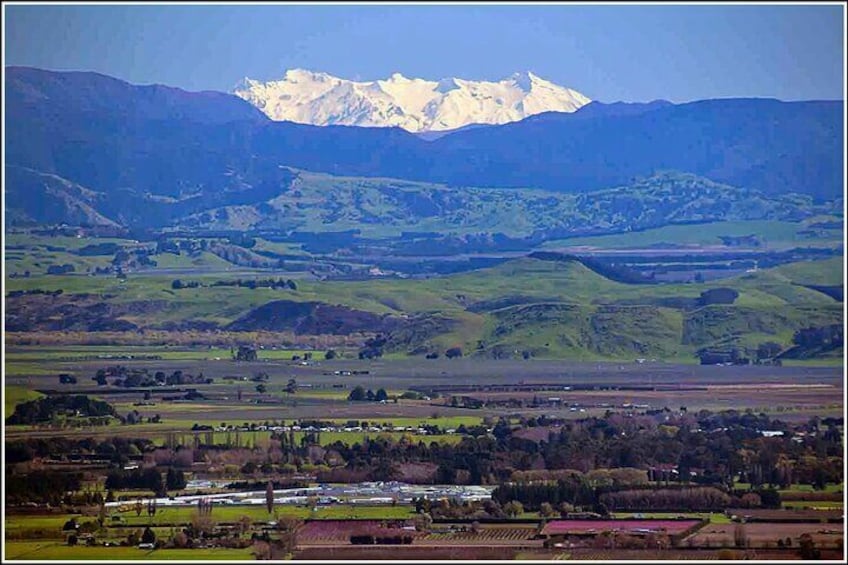 Views across to Mt Ruapehu, located in the centre of the North Islanmd