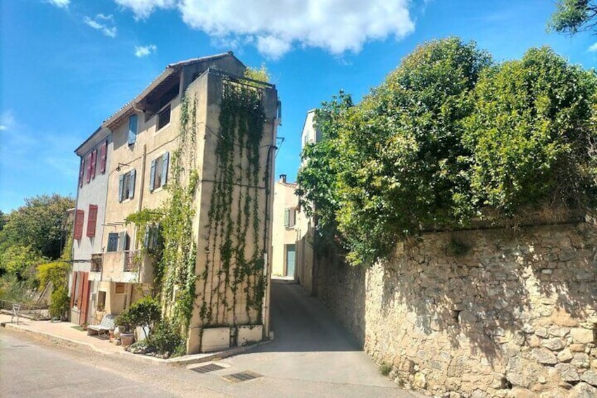 Secret Provence on Mary Magdalene's Path private excursion