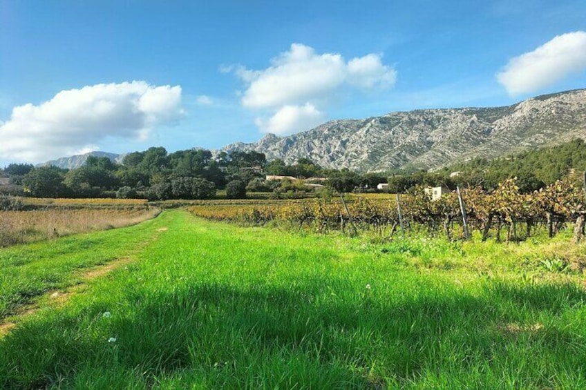 Secret Provence on Mary Magdalene's Path private excursion