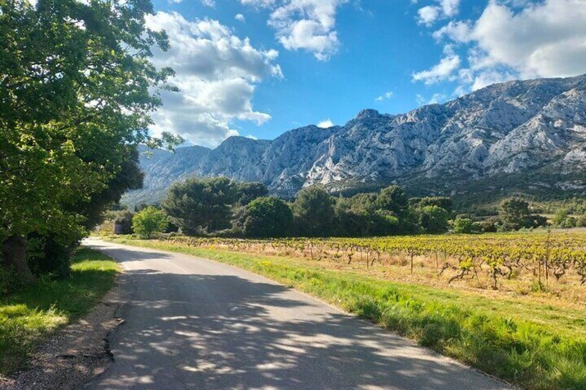 Well-being Day in Authentic Provence: Nature, Yoga, Picnic & Wine