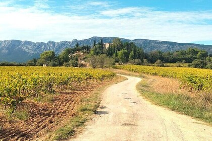 Private trip exploring wineries & countryside off the beaten track