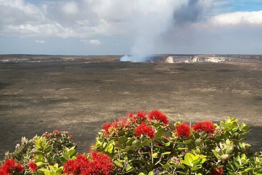 A Guided Hike Adventure Kilauea Iki and Lava Tube