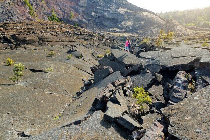 A Guided Hike Adventure Kilauea Iki and Lava Tube