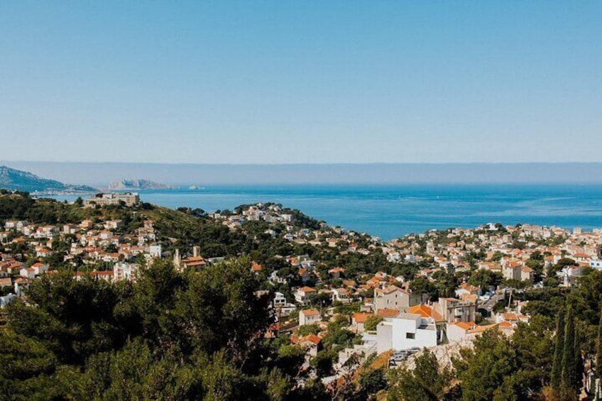 Essence of Provence in one day : special customizable trip