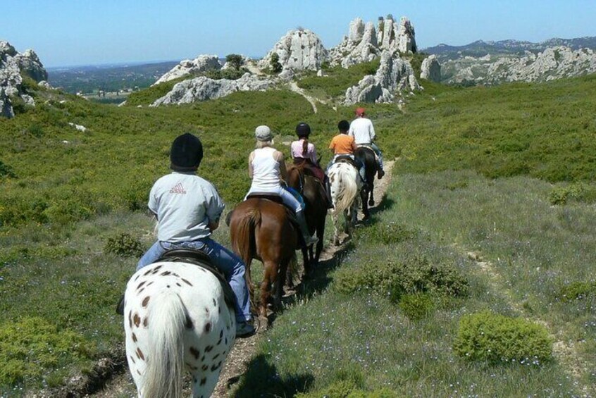 Horseback Riding in Sainte Victoire and Picnic with Wine Tasting