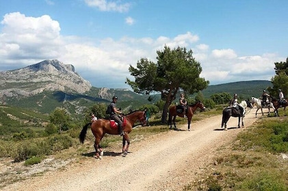 Horseback Riding in Sainte Victoire and Picnic with Wine Tasting