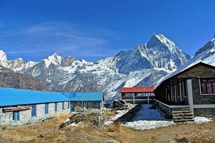 Majestic Views & Mountain Trails: Pokhara 5-Day Poon Hill Treks