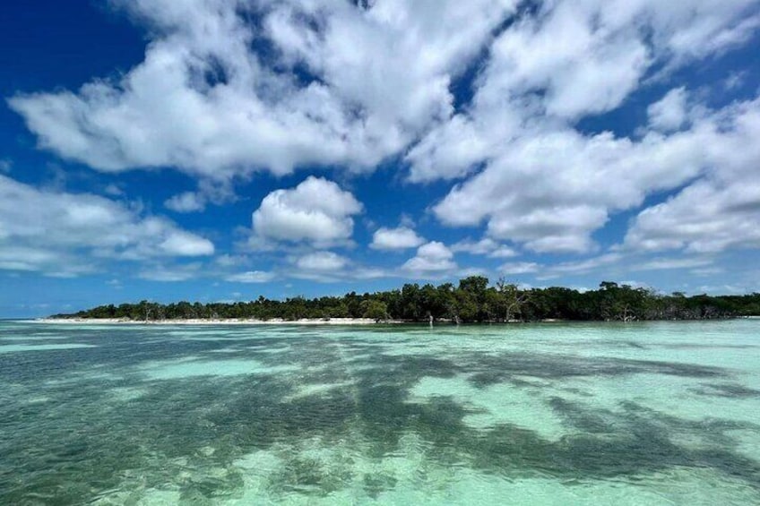 Private Patch Reef Fishing