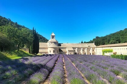 Pearls of Luberon : Gordes, Rousillon & Sénanque private trip