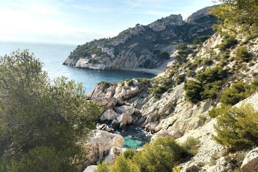 Cassis Village, Calanques Boat Ride, Wine Tasting (+Marseille)