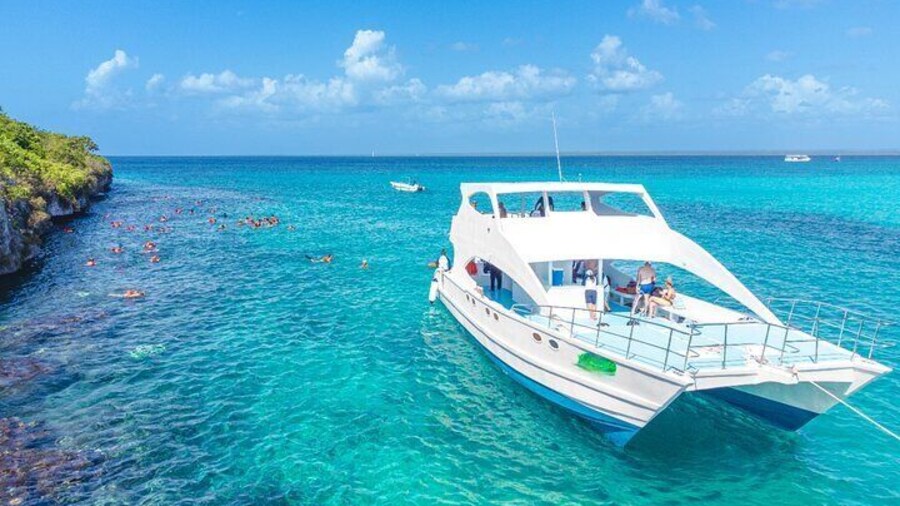 Full-Day Excursion to Discover Catalina Island with Lunch Option