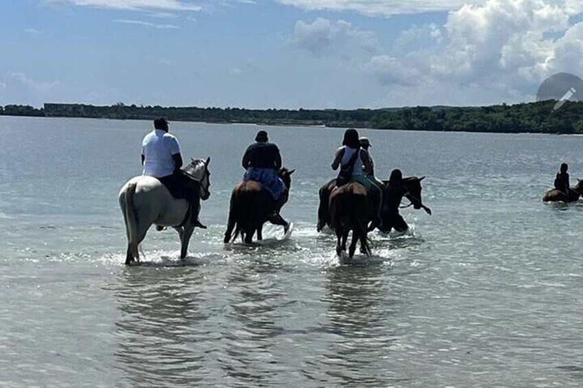 Bamboo Rafting and HorseBack Riding Excursion in OchoRios Jamaica