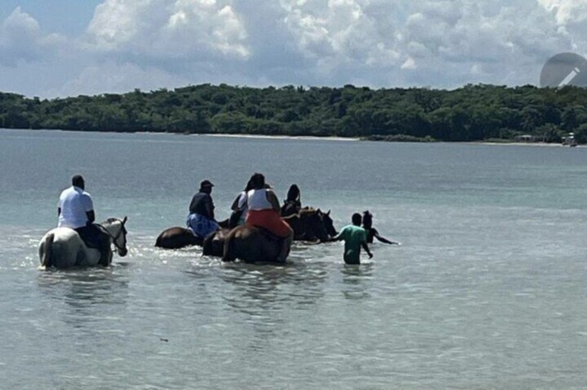 Bamboo Rafting and HorseBack Riding Excursion in OchoRios Jamaica