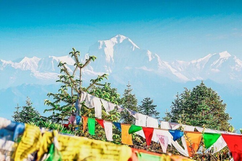 Unforgettable 3 Days Poon Hill Trek from Pokhara