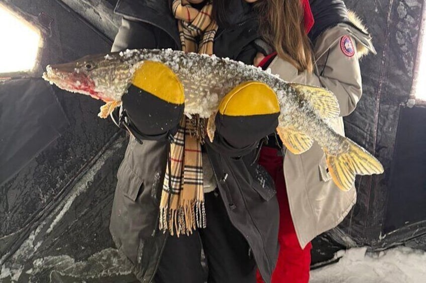 Jig Ice Fishing Adventure