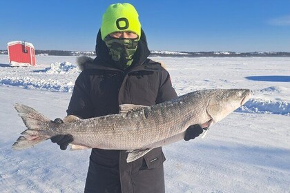 Jig Ice Fishing Adventure