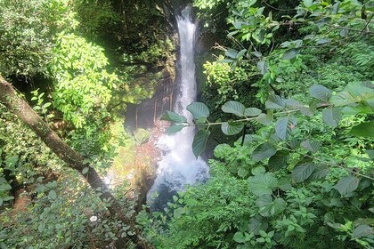 Volcano Hike, Oropendola Waterfall & Hot Springs Experience