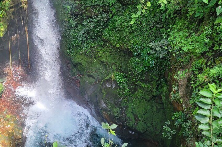 Volcano Hike, Oropendola Waterfall & Hot Springs Experience