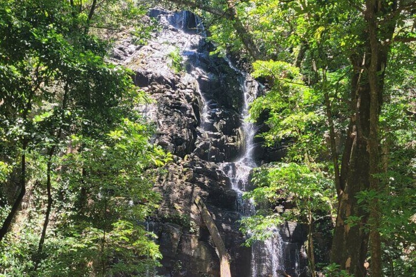 Volcano Hike, Oropendola Waterfall & Hot Springs Experience