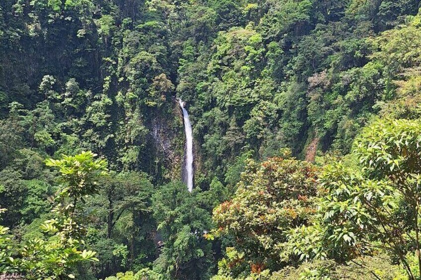 Day Tour Arenal Volcano Sky Walk Cultural Experience & Hot Spring