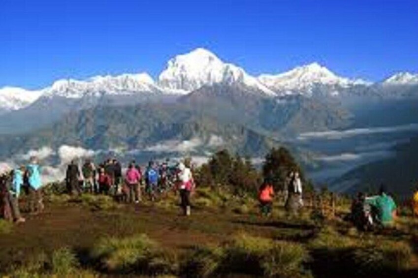 From Pokhara Full Day Entire Pokhara Tour with Guide