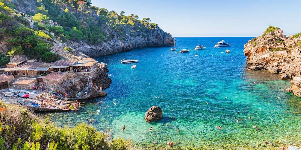 Picture 2 for Activity From Sóller: Boat Trip to Torrent de Pareis and Sa Calobra