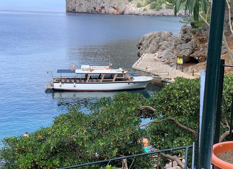 Picture 3 for Activity From Sóller: Boat Trip to Torrent de Pareis and Sa Calobra