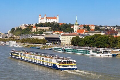 Private Tour Grand City in Bratislava with Devin Castle