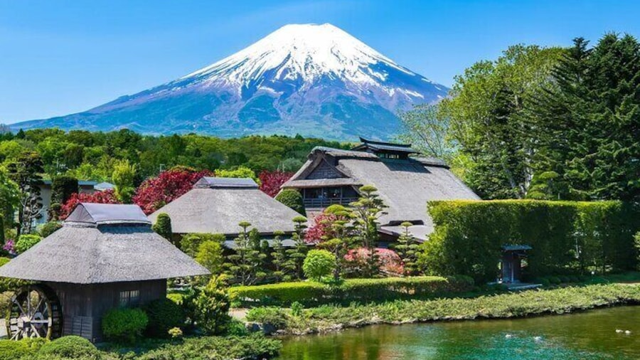 Mount Fuji and Hakone One Day joined Trip from Tokyo with lunch
