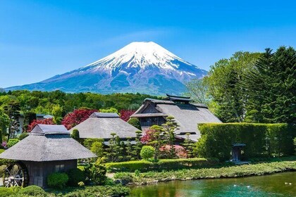 Mt Fuji & Hakone Tour with Ropeway & Pirate Ship from Tokyo-Lunch