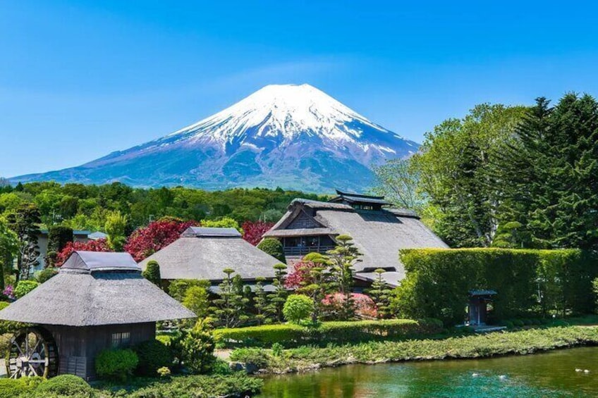 Mount Fuji and Hakone One Day joined Trip from Tokyo with lunch